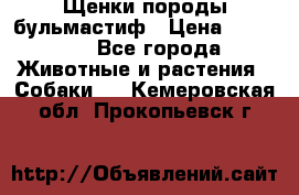 Щенки породы бульмастиф › Цена ­ 25 000 - Все города Животные и растения » Собаки   . Кемеровская обл.,Прокопьевск г.